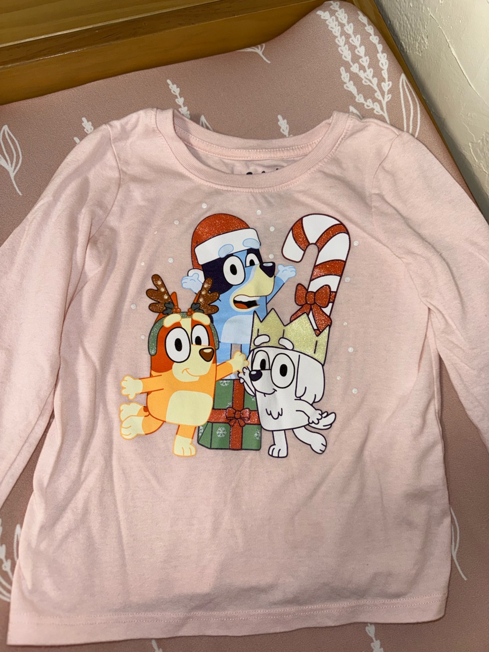 BLUEY holiday shirt!!